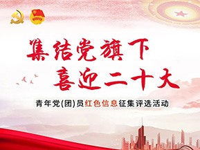 集结党旗下，喜迎二十大