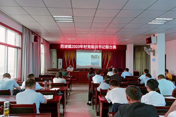 颍州区西湖镇：书记“擂台赛”激发乡村振兴新动能